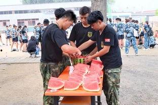 静宁吃瓜群众事件,网络舆论下的社会现象解析